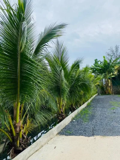 Jhen House – Fotos 12